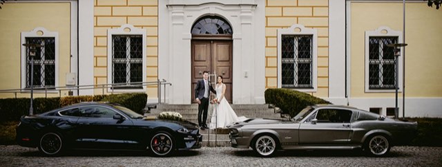 Brautpaar mit zwei Mustangs
